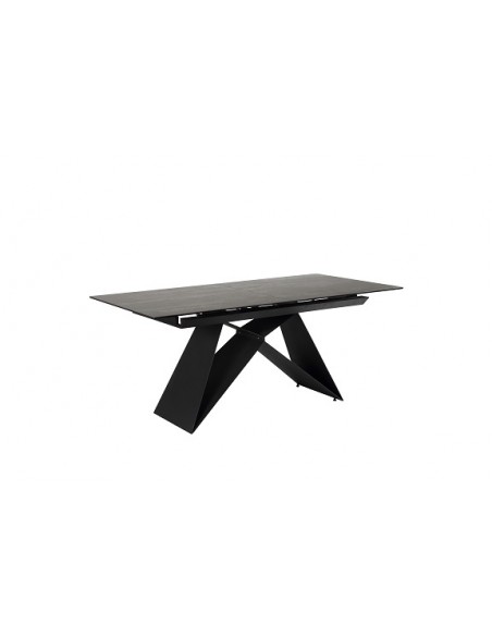 EDME - Table de séjour rectangulaire avec 1 all de 50