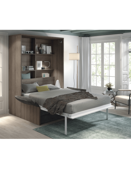 CONCEPT - Armoire lit escamotable verticale avec canapé