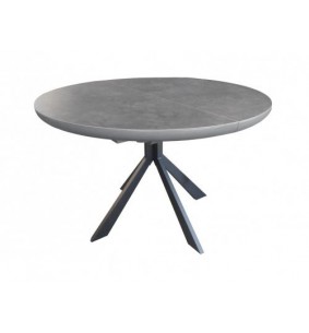 CONCEPT - Table ronde 1 allonge centrale papillon 40 cm...