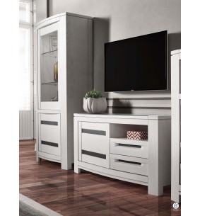 NESS - Meuble TV une porte deux tiroirs